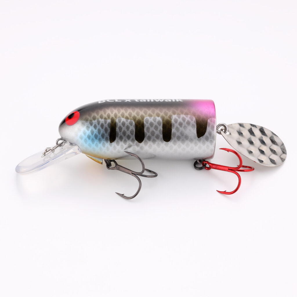 究極のボディ形状